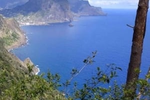 Passeggiate verdi a Madeira: natura e incanti di montagna