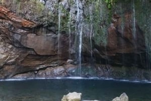 Passeggiate verdi a Madeira: natura e incanti di montagna