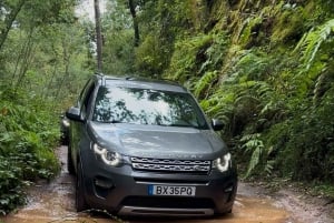 Passeggiate verdi a Madeira: natura e incanti di montagna