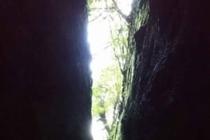 Passeggiate verdi a Madeira: natura e incanti di montagna