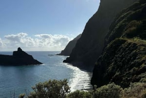 Madeira: Group and Private Tea Drinking Experiences