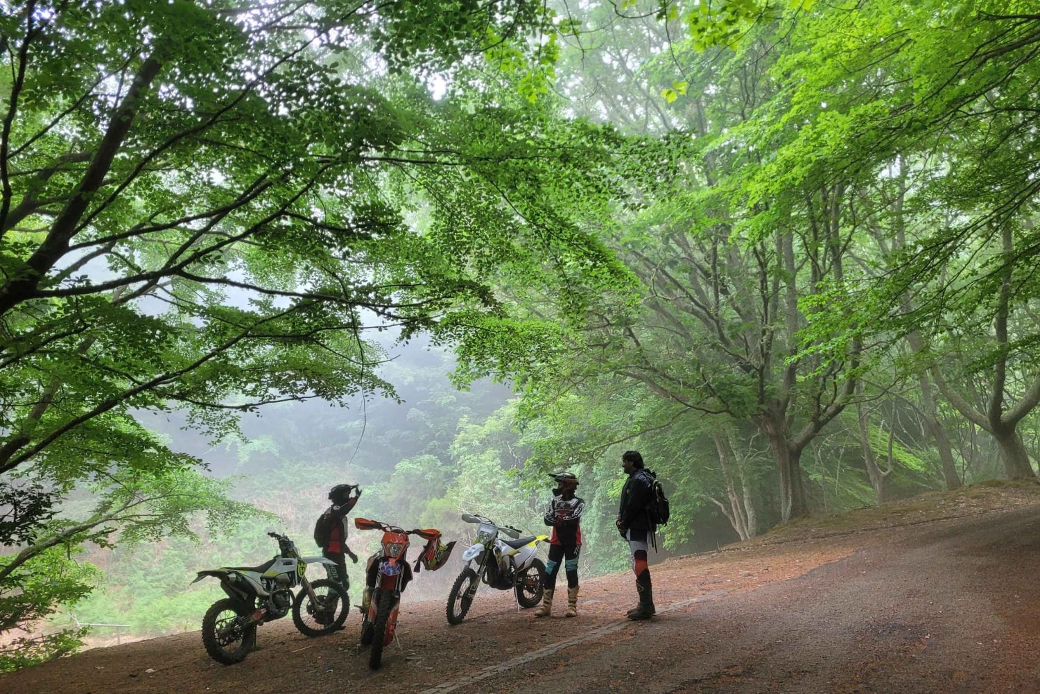 Madera: wycieczka enduro na motorze crossowym z przewodnikiem