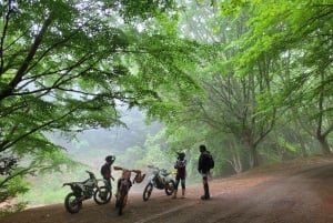 Madera: wycieczka enduro na motorze crossowym z przewodnikiem