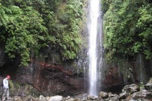 Madeira: Guided Full-Day Rabaçal Walk