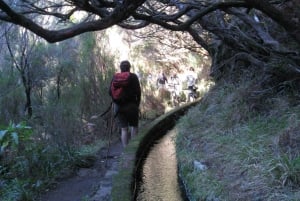 Madeira: Guided Full-Day Rabaçal Walk