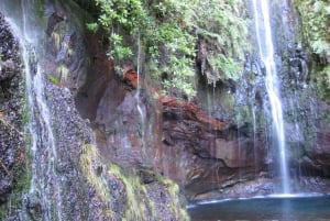 Madeira: Guided Full-Day Rabaçal Walk