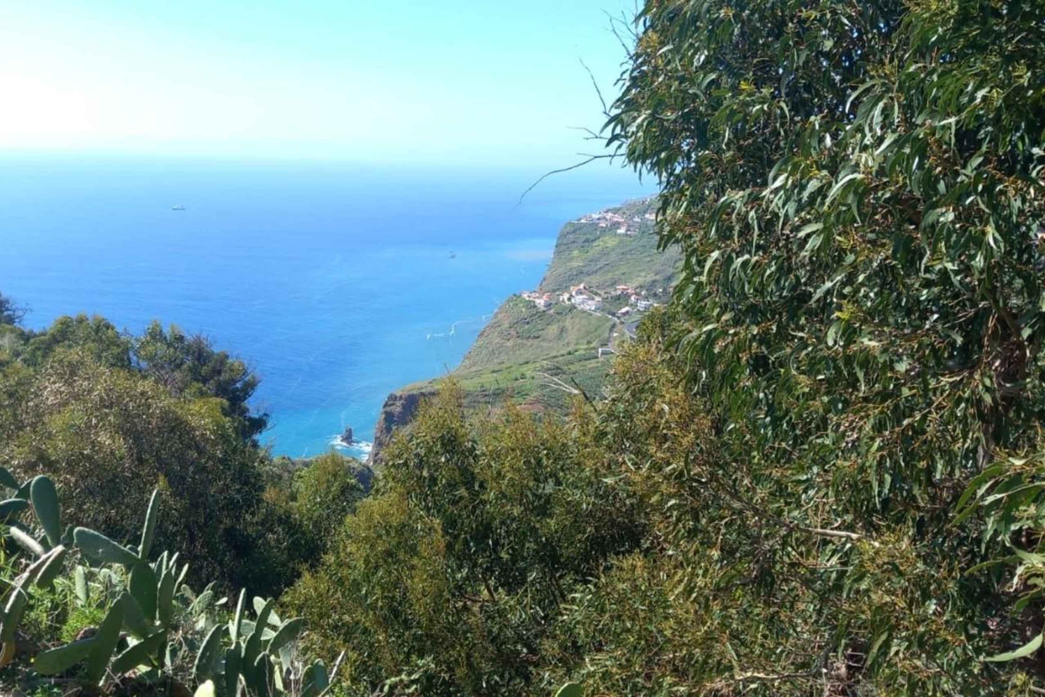 Мадейра: дегустация вин с гидом и прогулка по живописным местам