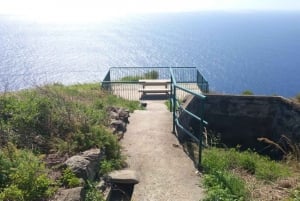 Madeira: Guided Wine Tasting and Scenic Walk