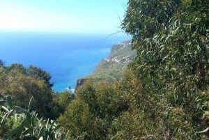 Madeira: Guided Wine Tasting and Scenic Walk