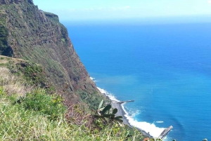 Madeira: Guided Wine Tasting and Scenic Walk