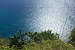 Madeira: Guided Wine Tasting and Scenic Walk