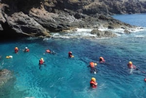 Madeira: Half-Day Coasteering Tour