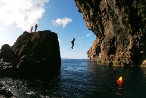 Madeira: Half-Day Coasteering Tour