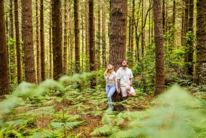Madeira: Halvdagstur guidet fototur