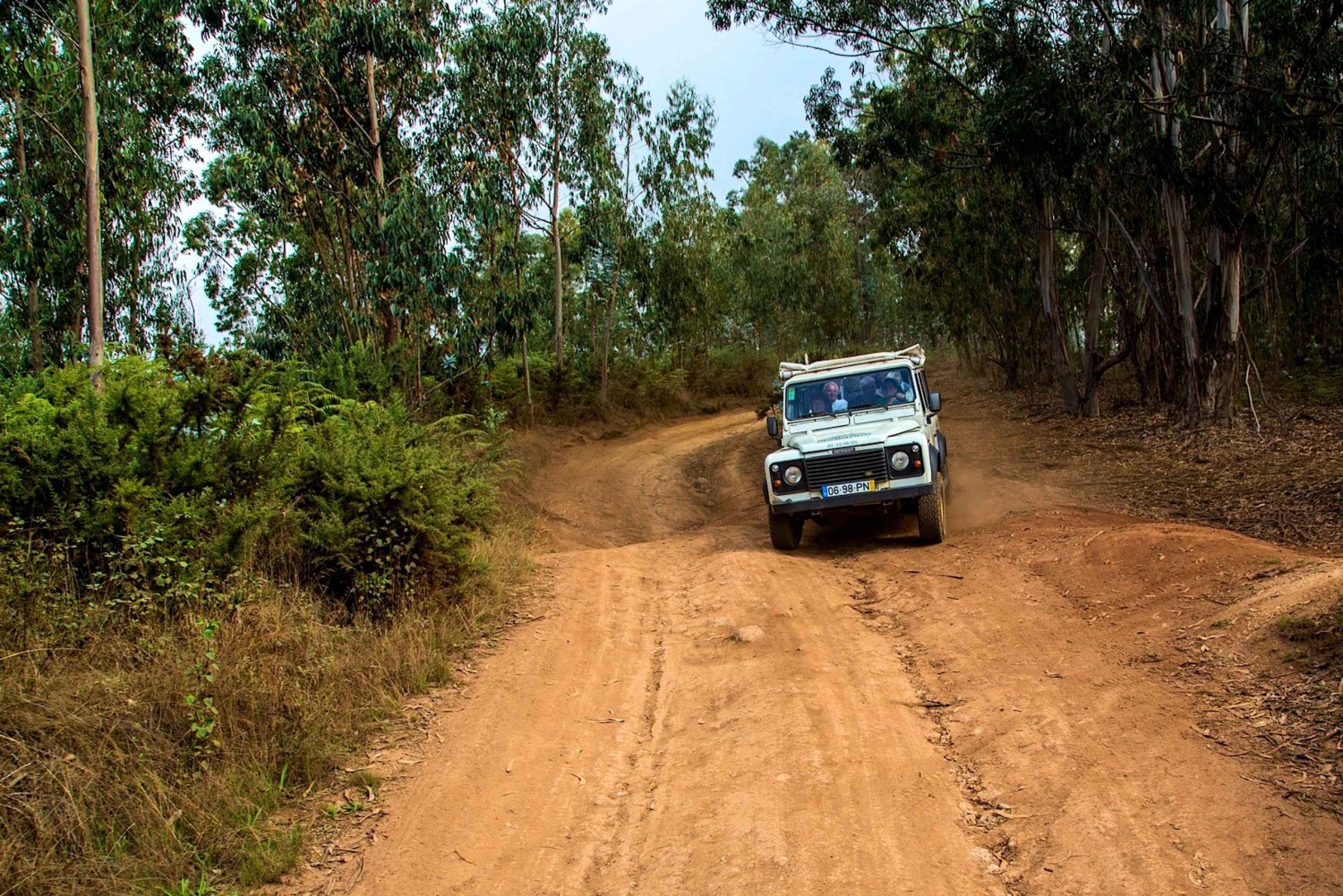 Madeira: Excursão de meio dia ao Curral das Freiras e à Falésia