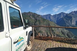 Madeira: Half-Day Nun's Valley and Sea Cliff Tour