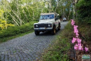 Madeira: Half-Day Nun's Valley and Sea Cliff Tour