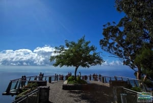 Madeira: Half-Day Nun's Valley and Sea Cliff Tour