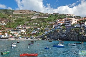 Madeira: Half-Day Nun's Valley and Sea Cliff Tour