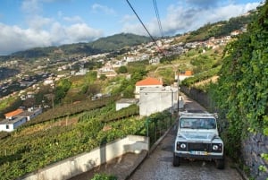 Madeira: Half-Day Nun's Valley and Sea Cliff Tour