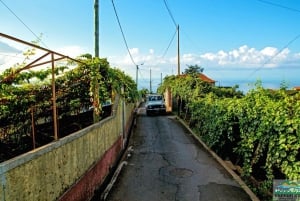 Madeira: Half-Day Nun's Valley and Sea Cliff Tour