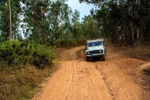 Madeira: Excursão de meio dia ao Curral das Freiras e à Falésia
