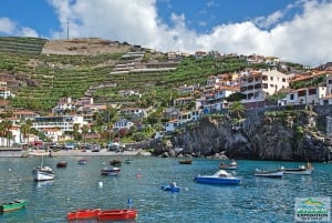 Madeira: Excursão de meio dia ao Curral das Freiras e à Falésia