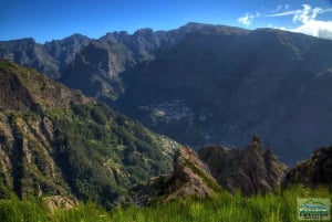 Madeira: Excursão de meio dia ao Curral das Freiras e à Falésia