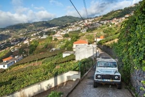 Madeira: Excursão de meio dia ao Curral das Freiras e à Falésia