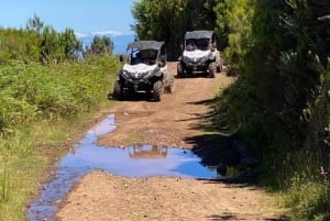 Madeira: Half-Day Off-Road Buggy Tour