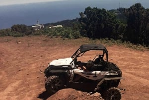 Madeira: Half-Day Off-Road Buggy Tour