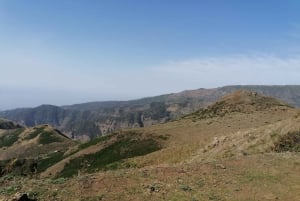 Madeira: Half-Day Off-Road Buggy Tour