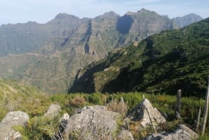 Madeira: Half-Day Off-Road Buggy Tour