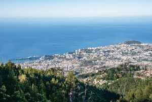 Madeira: tour in jeep di mezza giornata al Pico Areeiro