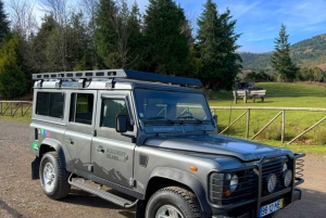 Madeira: tour in jeep di mezza giornata al Pico Areeiro