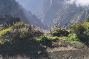 Madeira: tour in jeep di mezza giornata al Pico Areeiro