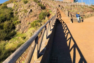 Madeira: tour in jeep di mezza giornata al Pico Areeiro