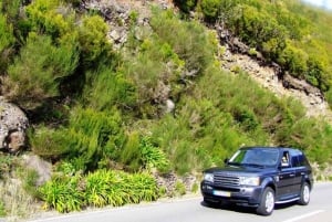 Madeira: Half-Day Private 4-Wheel-Drive Expedition