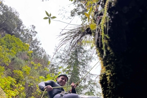Madeira: Intermediate Canyoning Tour - Small Groups Only