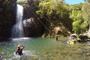 Madeira: Intermediate (Level 2) Canyoning Experience