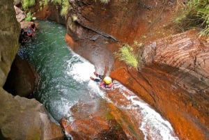 Madeira: Intermediate (Level 2) Canyoning Experience