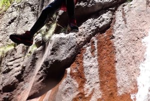 Madeira: Experiência de Canyoning Intermediária (Nível 2)