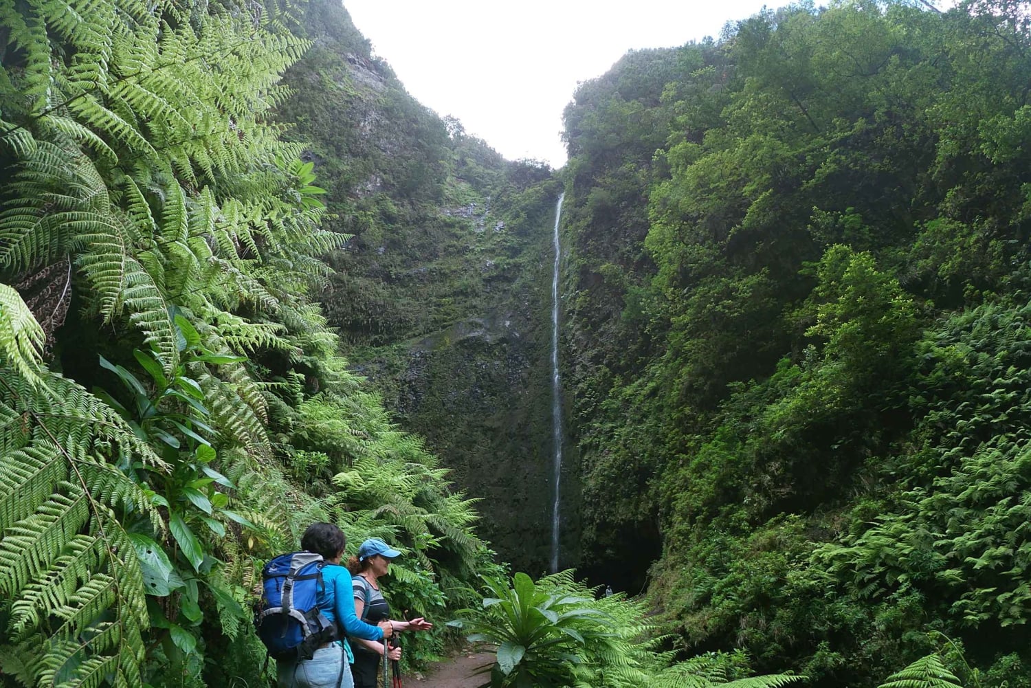 Ilha da Madeira: Passeio da Levada do Caldeirão Verde