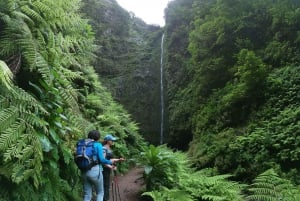 Madeira Island: Caldeirão Verde Levada Walk