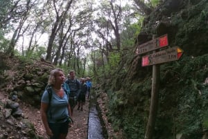 Madeira Island: Caldeirão Verde Levada Walk