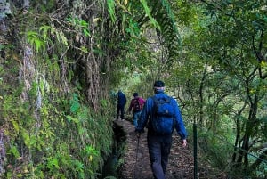 Madeira Island: Caldeirão Verde Levada Walk