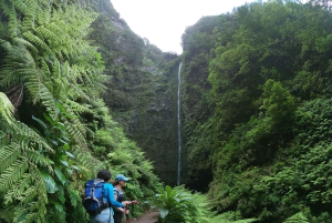 Ilha da Madeira: Passeio da Levada do Caldeirão Verde