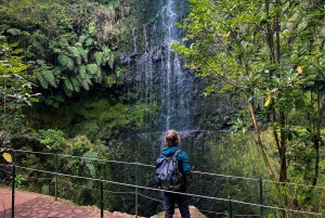 Ilha da Madeira: Passeio da Levada do Caldeirão Verde
