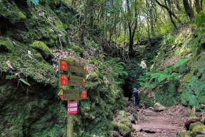Ilha da Madeira: Passeio da Levada do Caldeirão Verde