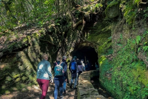 Ilha da Madeira: Passeio da Levada do Caldeirão Verde